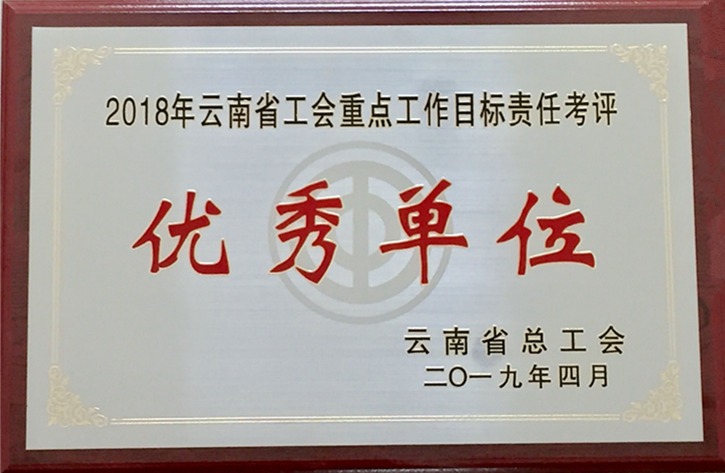 云南008PG国际集团工会荣获 “2018年度云南省工会重点事情目的责任考评优异单位”
