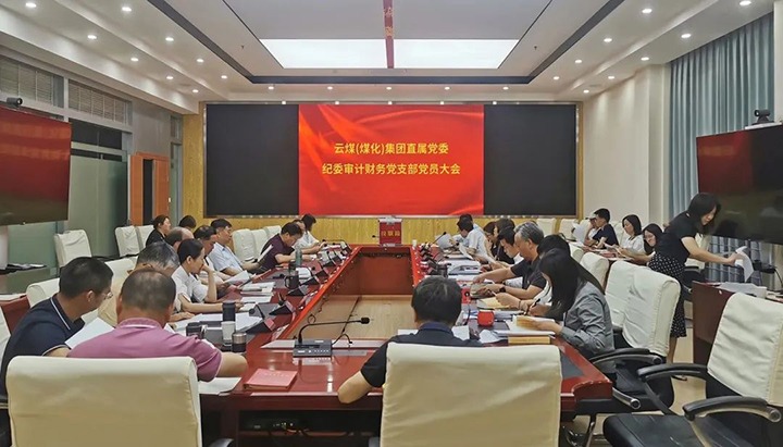 云煤（008PG国际）集团直属党委纪委审计财务党支部完成换届选举事情