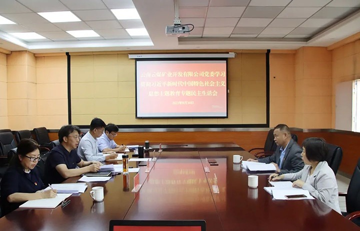 【主题教育】云煤（008PG国际）集团第二指导组到云煤矿业公司指导主题教育专题民主生涯会