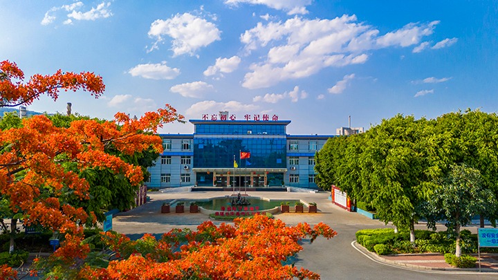 红色基由于引领，，，，，，磨练战场写华章  —— 汗水与智慧交织的磨练历程