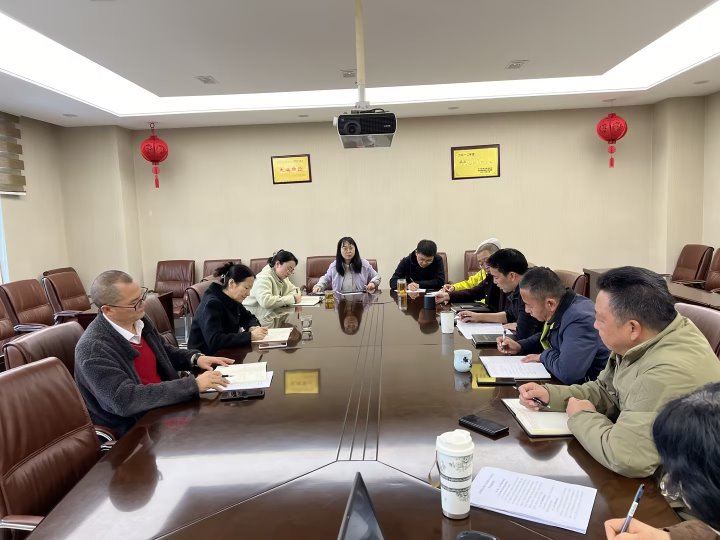 集团党委委员、财务总监莫晓丹到008PG国际地产调研指导事情