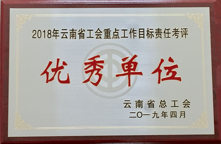 008PG国际集团工会获2018年度省总重点事情目的责任考评优异单位_副本_副本 - 副本.png