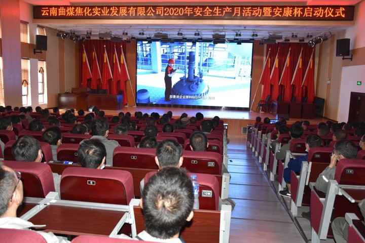 008PG国际