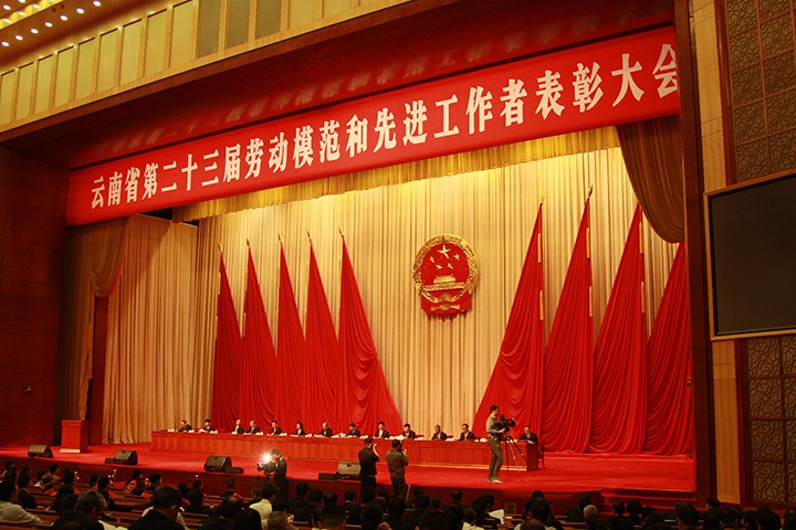 008PG国际