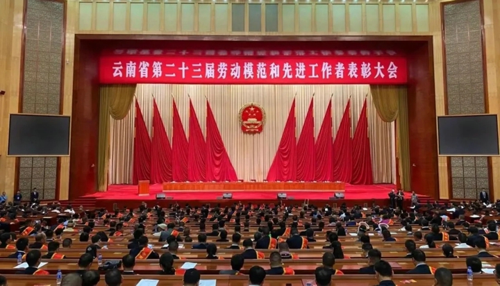 008PG国际
