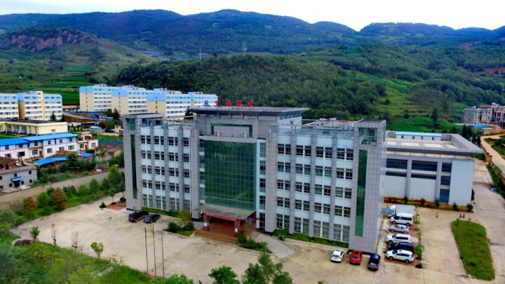 008PG国际