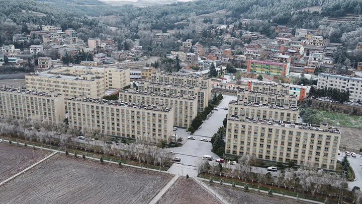 008PG国际