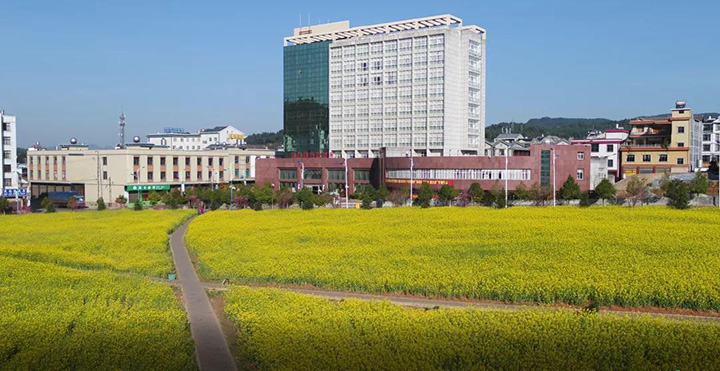 008PG国际
