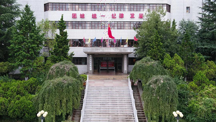 008PG国际