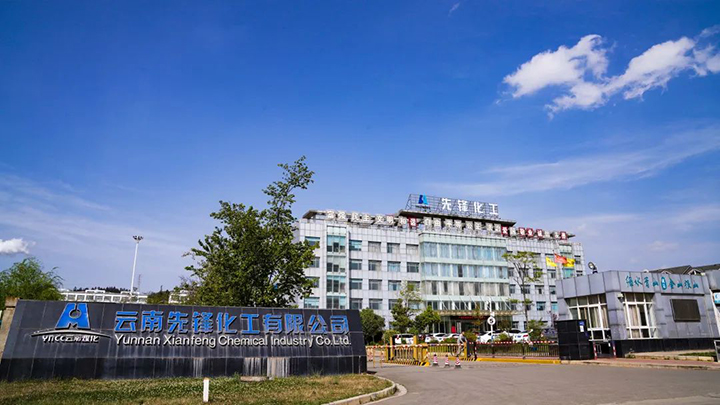 008PG国际