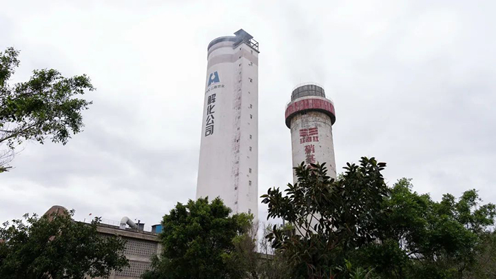 008PG国际