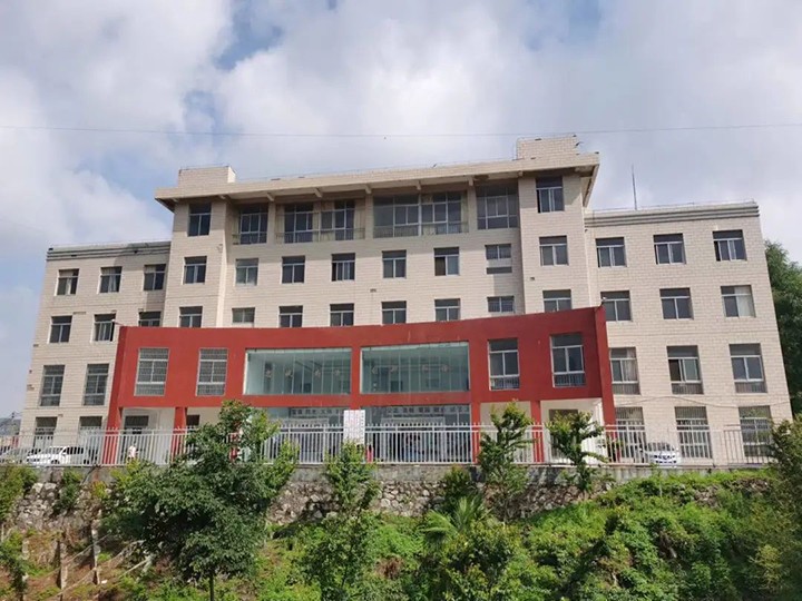 008PG国际