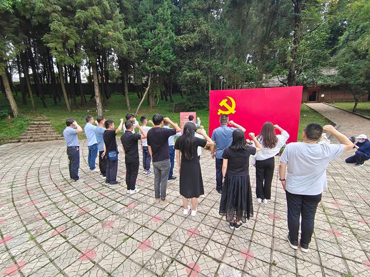 008PG国际