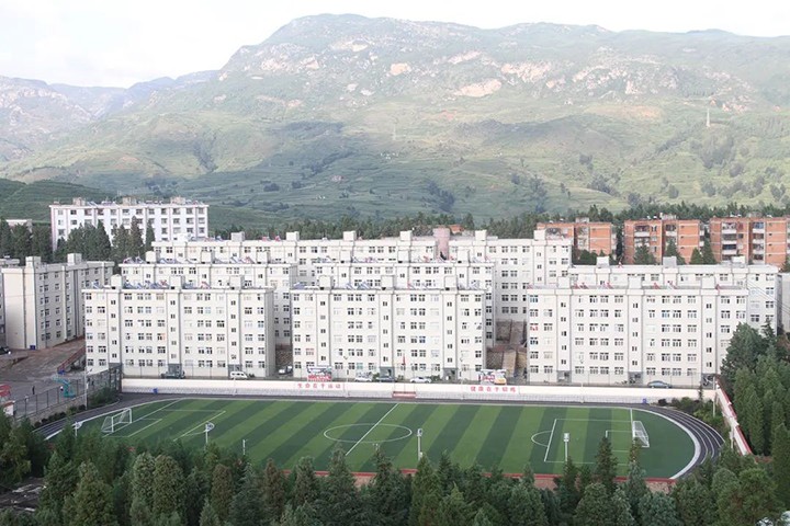 008PG国际