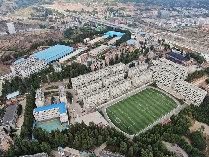 008PG国际