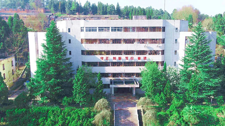 008PG国际