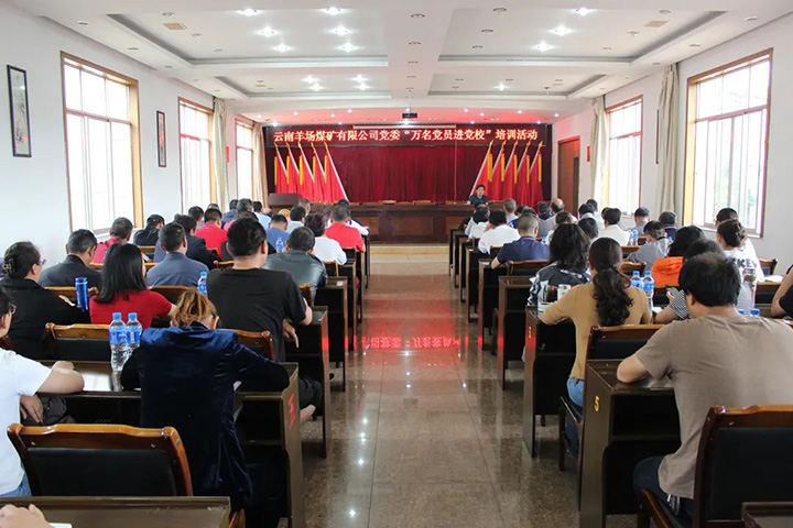 008PG国际