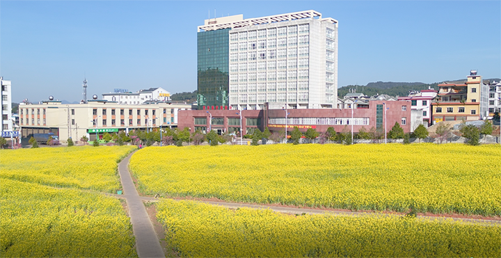 008PG国际