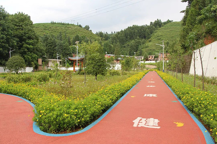 008PG国际
