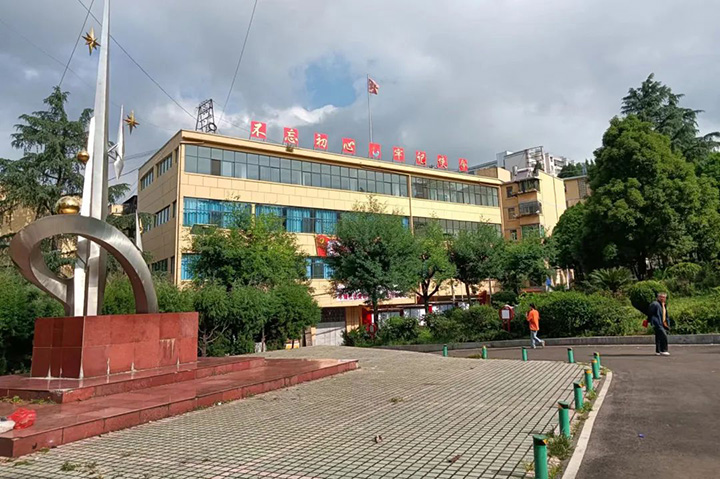 008PG国际