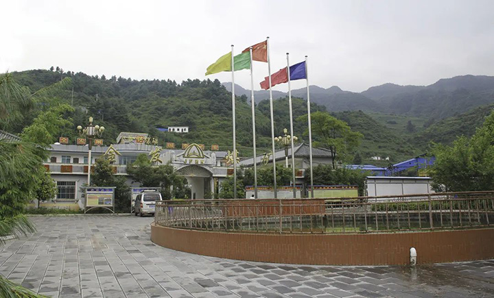 008PG国际