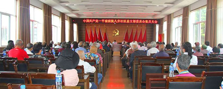 008PG国际