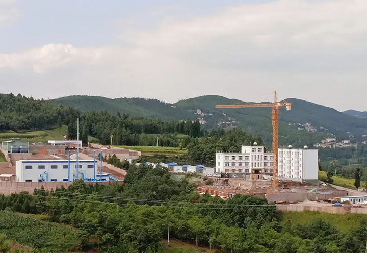 008PG国际