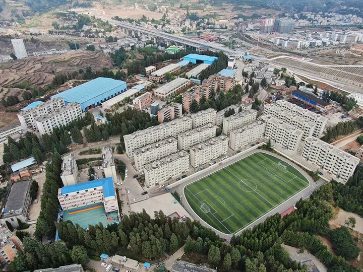 008PG国际