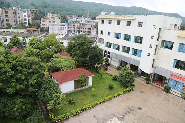 008PG国际