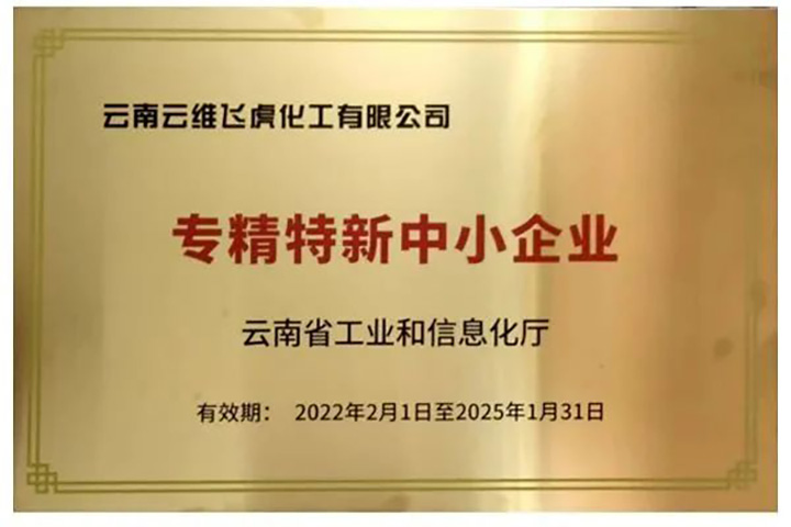 008PG国际