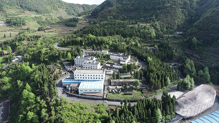 008PG国际