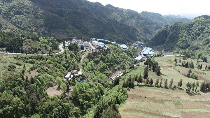 008PG国际