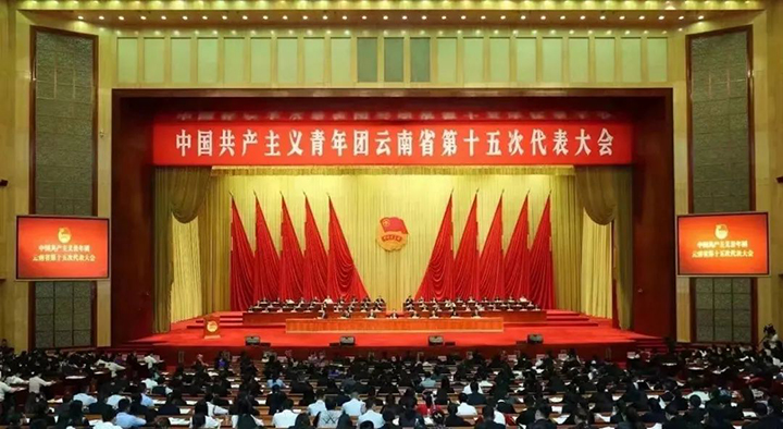008PG国际