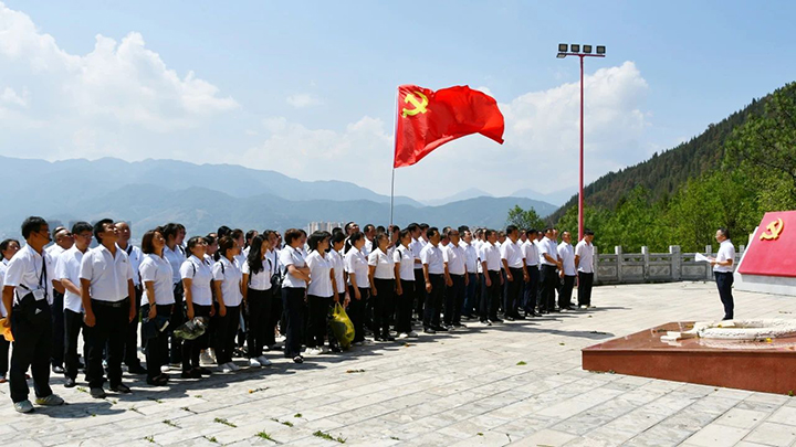 008PG国际