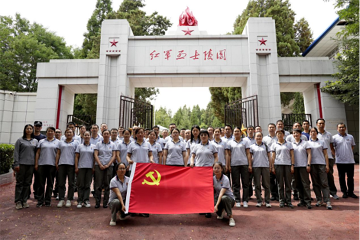 008PG国际