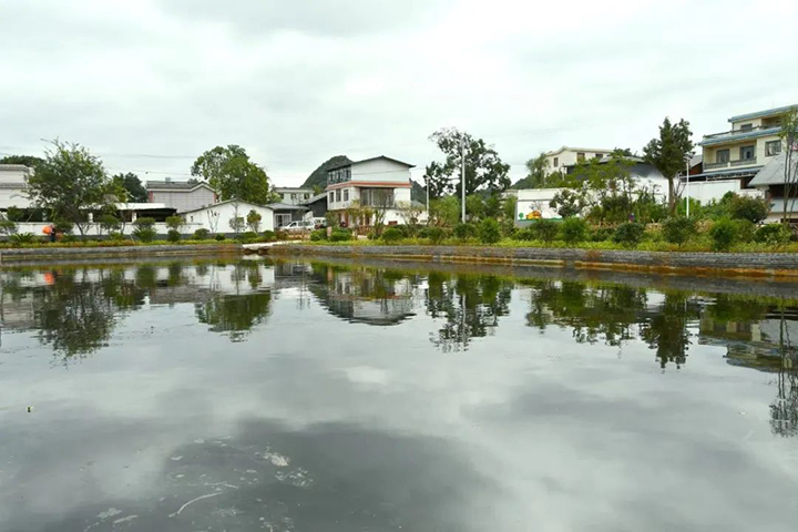008PG国际