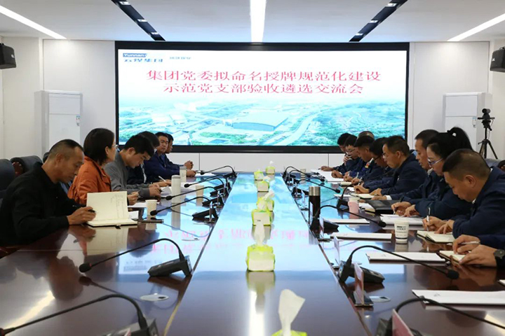 008PG国际