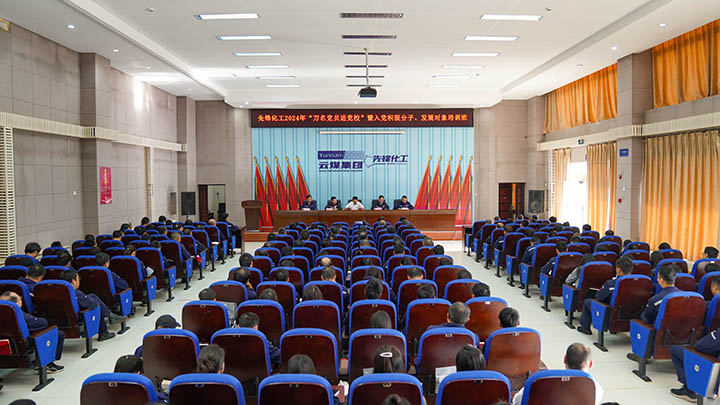 008PG国际
