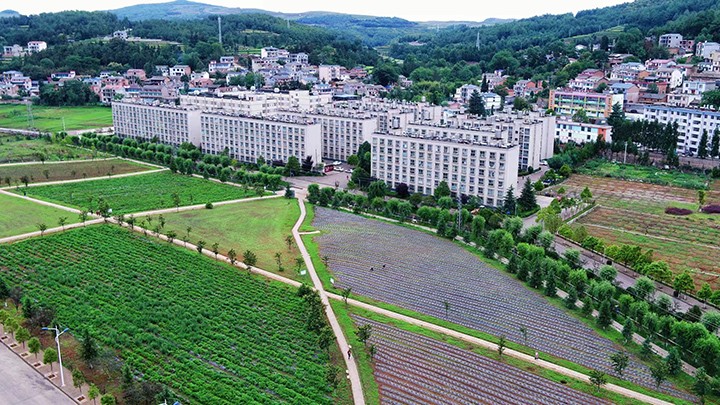 008PG国际