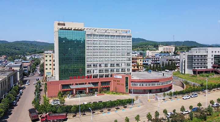 008PG国际