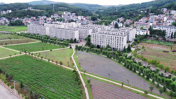 008PG国际