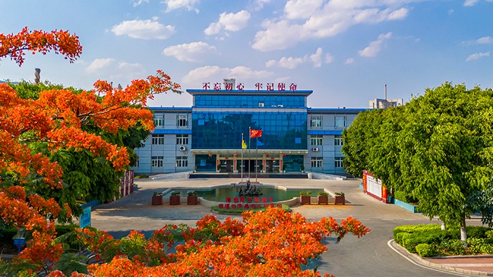 008PG国际