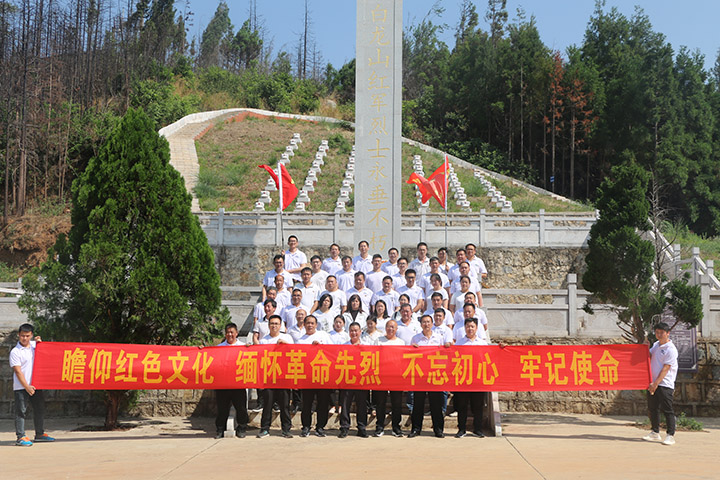 008PG国际