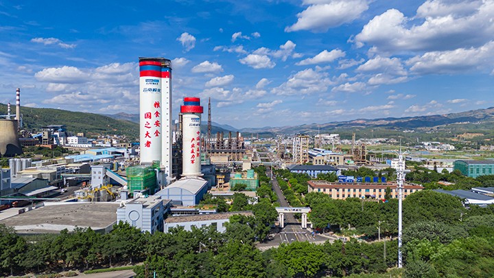 008PG国际