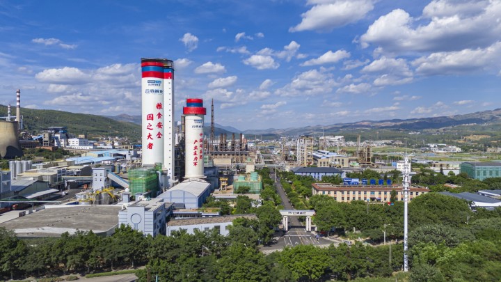 008PG国际